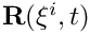 $\mathbf{R}(\xi^i,t)$