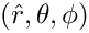 $(\hat{r},\theta,\phi)$
