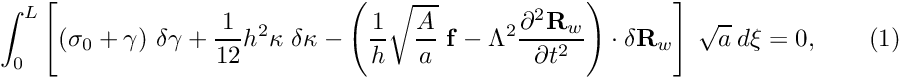 \[ \int_0^{L} \left[ (\sigma_0 + \gamma) \ \delta \gamma + \frac{1}{12} h^2 \kappa \ \delta \kappa - \left(\frac{1}{h} \sqrt{\frac{A}{a}} \ {\bf f} - \Lambda^2 \frac{\partial^2 {\bf R}_w}{\partial t^2} \right) \cdot \delta {\bf R}_w \right] \ \sqrt{a} \ d\xi = 0, \ \ \ \ \ \ \ \ \ (1) \]