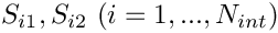 $S_{i1},S_{i2} \ (i=1,...,N_{int})$