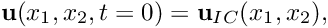 \[ {\bf u}(x_1,x_2,t=0) = {\bf u}_{IC}(x_1,x_2), \]