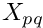 \[ \frac{\partial}{\partial X_{pq}} \left( \frac{\partial \psi_j}{\partial x_i} \right). \]